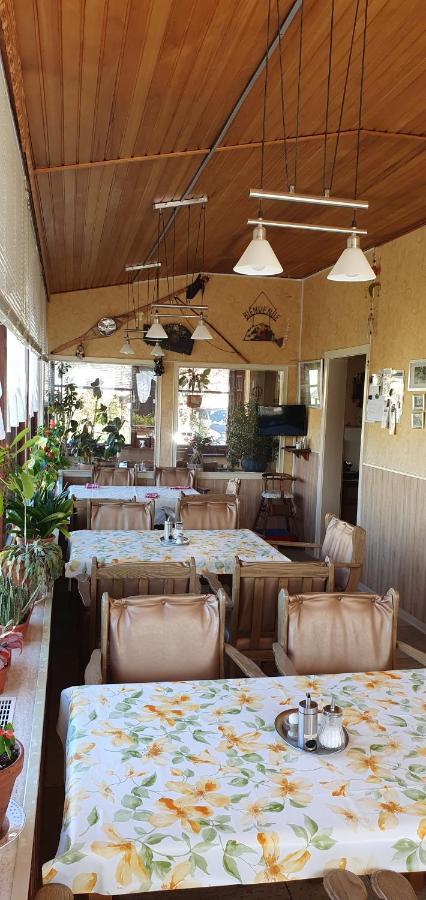 Haus Am Kurpark Ξενοδοχείο Sankt Andreasberg Εξωτερικό φωτογραφία