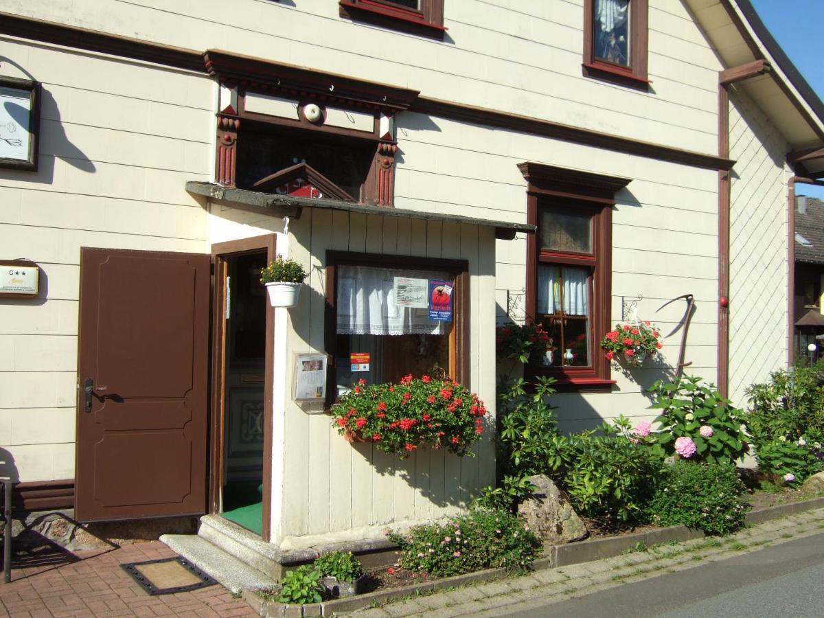Haus Am Kurpark Ξενοδοχείο Sankt Andreasberg Εξωτερικό φωτογραφία
